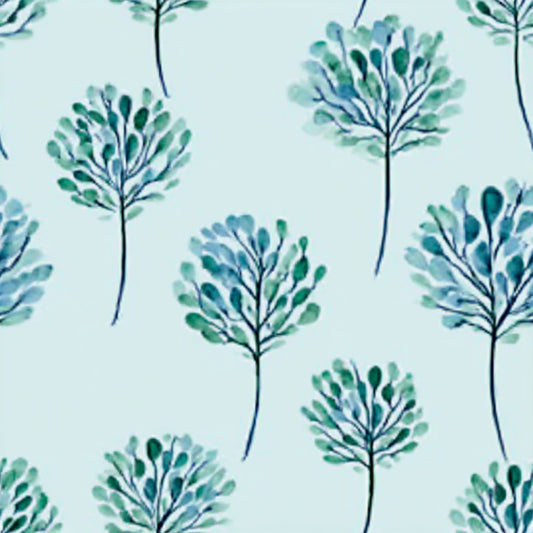 Koala Canopy