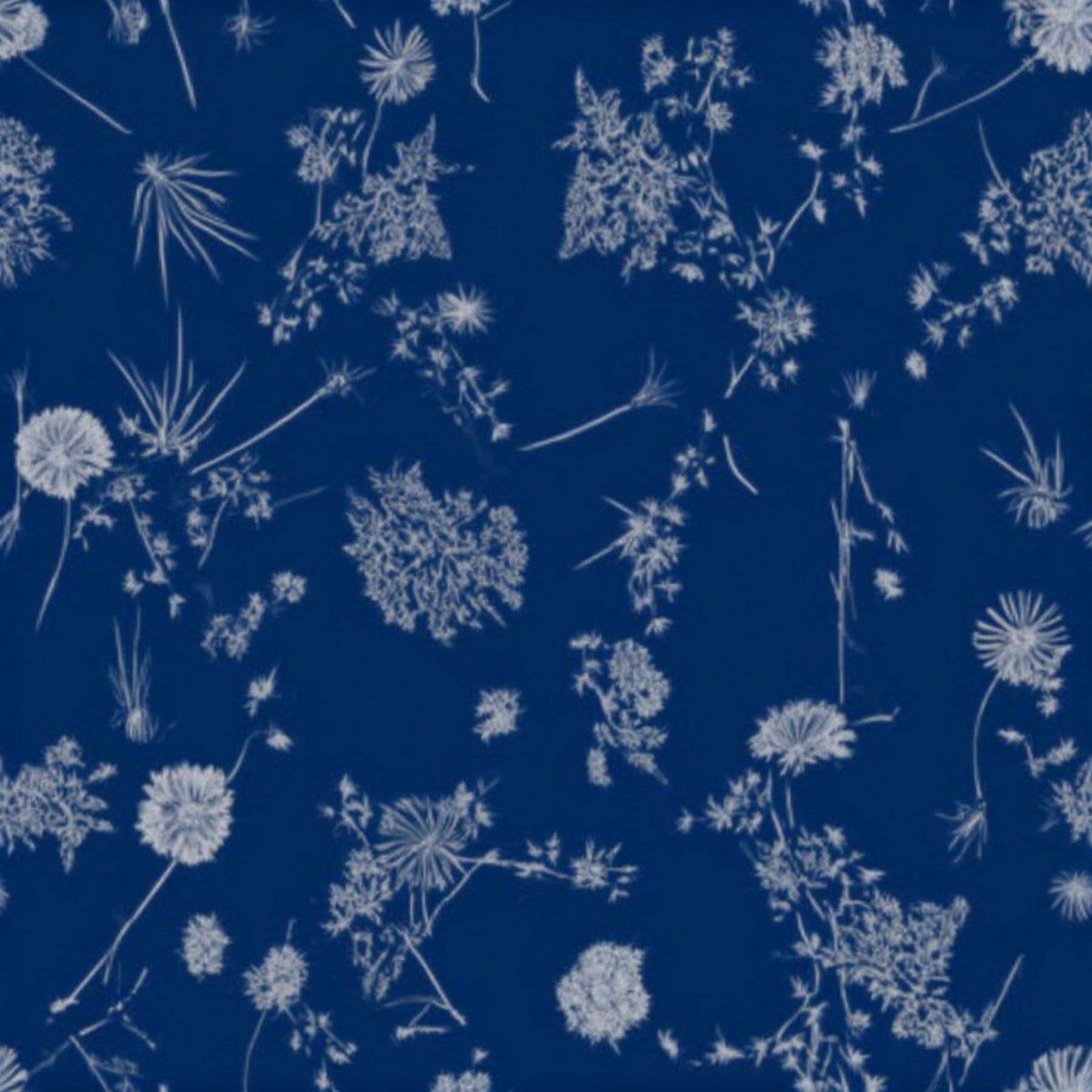 Ocean Beachweed