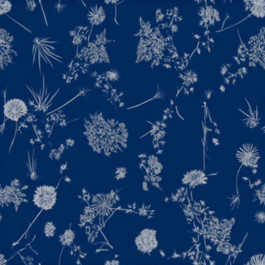 Ocean Beachweed