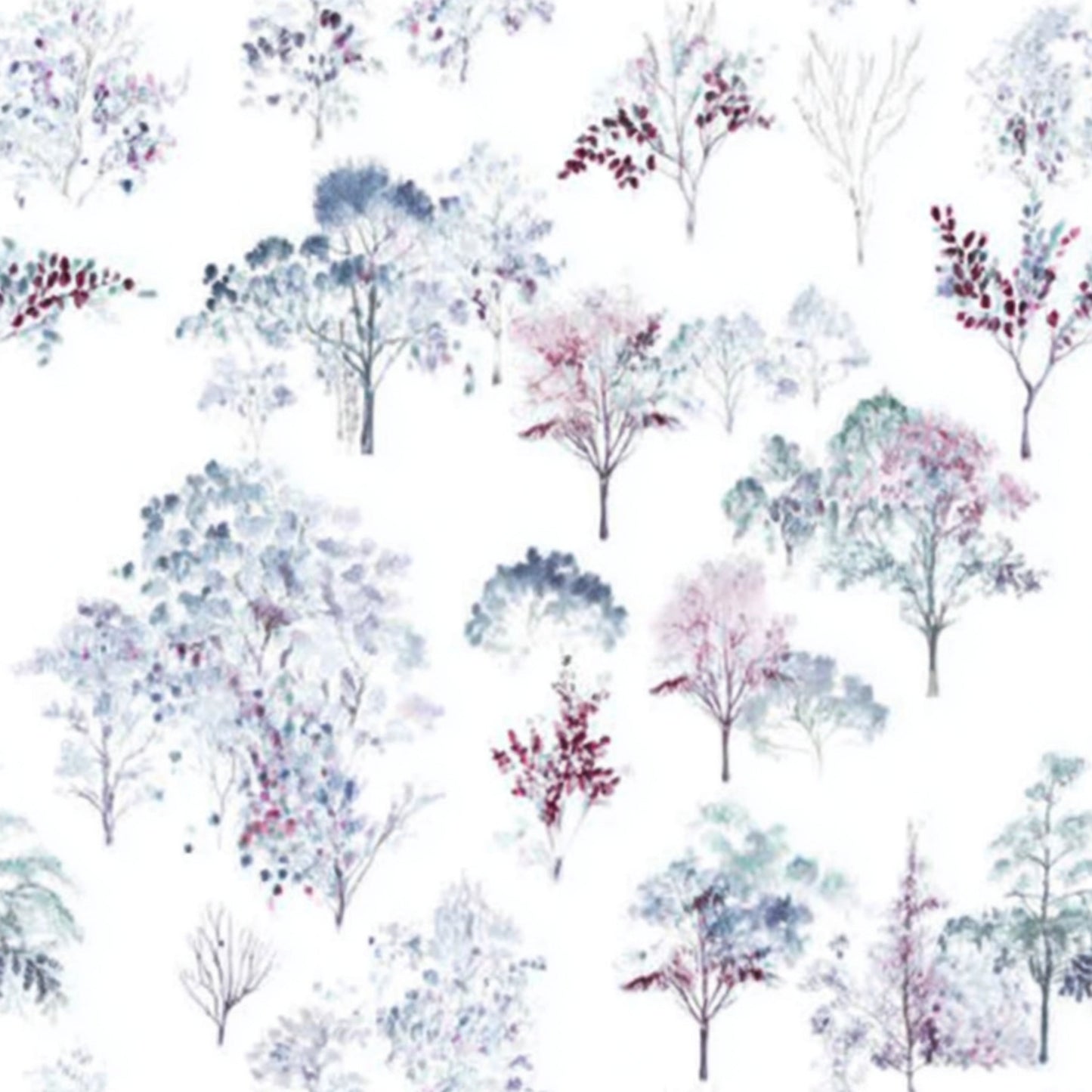 Snowy Gum Dreamscape