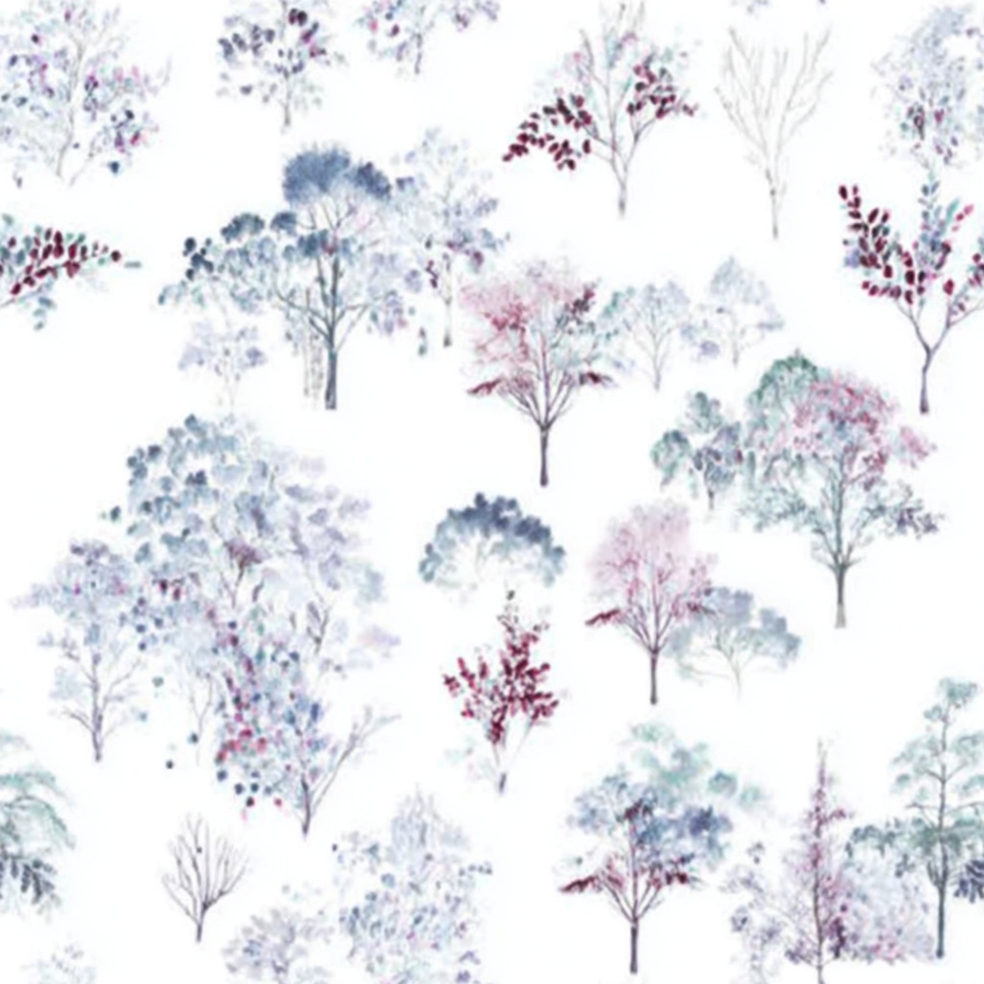 Snowy Gum Dreamscape