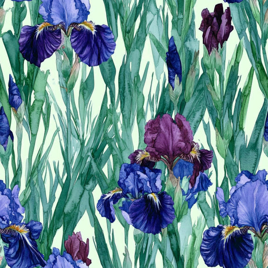 Iris My Case