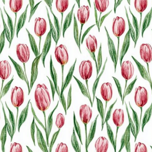 Mo Tulips Mo Problems